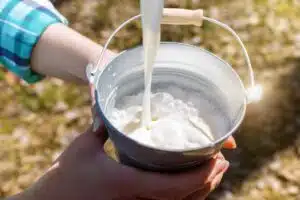 Latte freddo