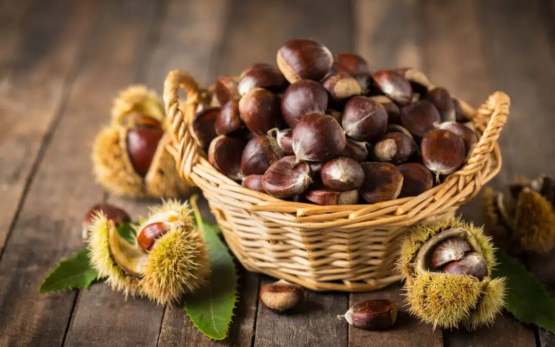 Ricetta Castagne al Latte