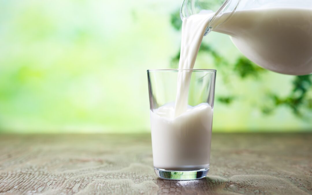 Principi nutritivi del latte