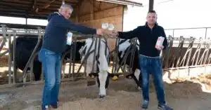 i-titolari-con-i-bicchieri-di-latte-con-la-mucca-di-razza