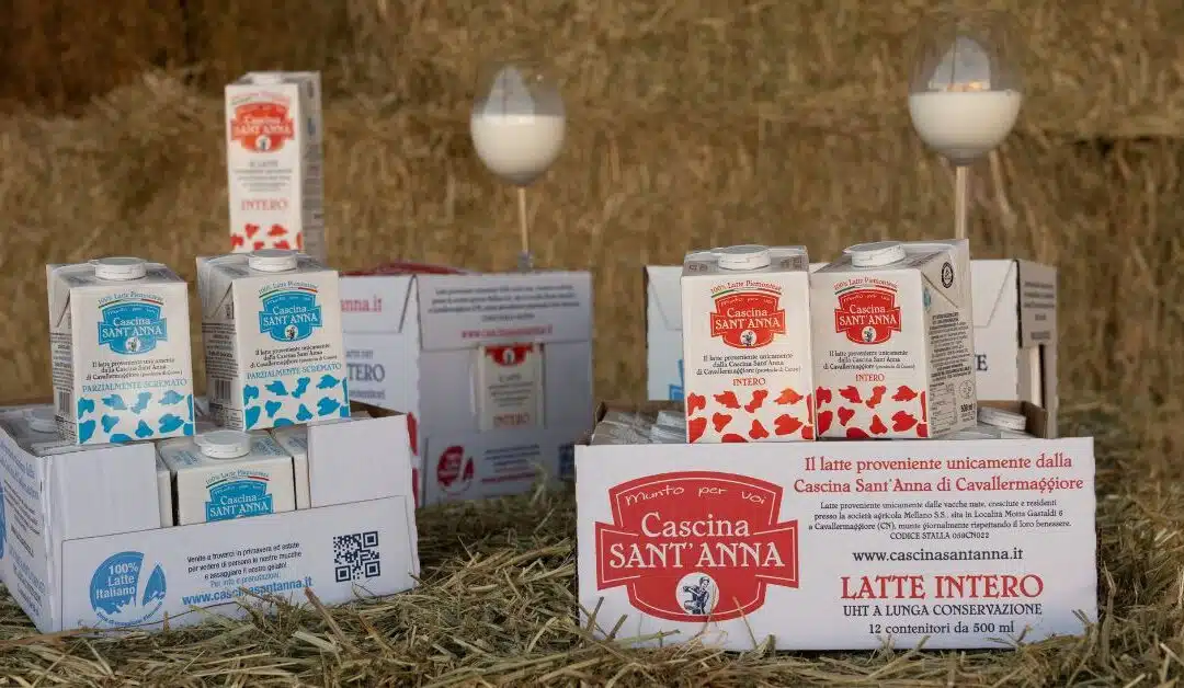 Benessere animale: quanto latte produce una mucca