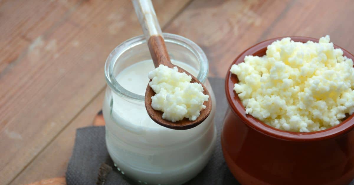 preparazione-kefir-latte