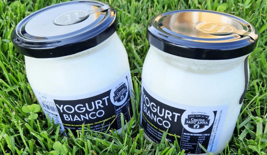 Yogurt senza zuccheri aggiunti: guida completa per una scelta sana e gustosa