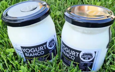 Yogurt senza zuccheri aggiunti: guida completa per una scelta sana e gustosa